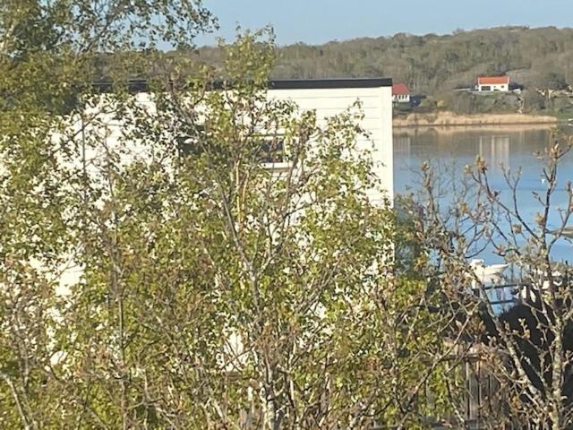 Mycket Trevlig Stuga Pa Braennoe Med Havsutsikt Branno Exterior photo