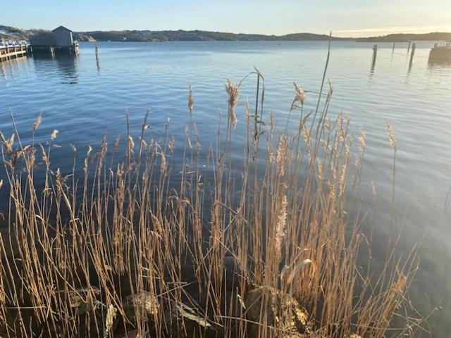 Mycket Trevlig Stuga Pa Braennoe Med Havsutsikt Branno Exterior photo